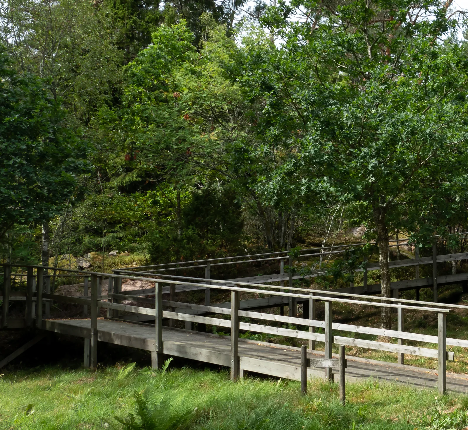 Wooden boardwalk with railings crossing a grassy slope