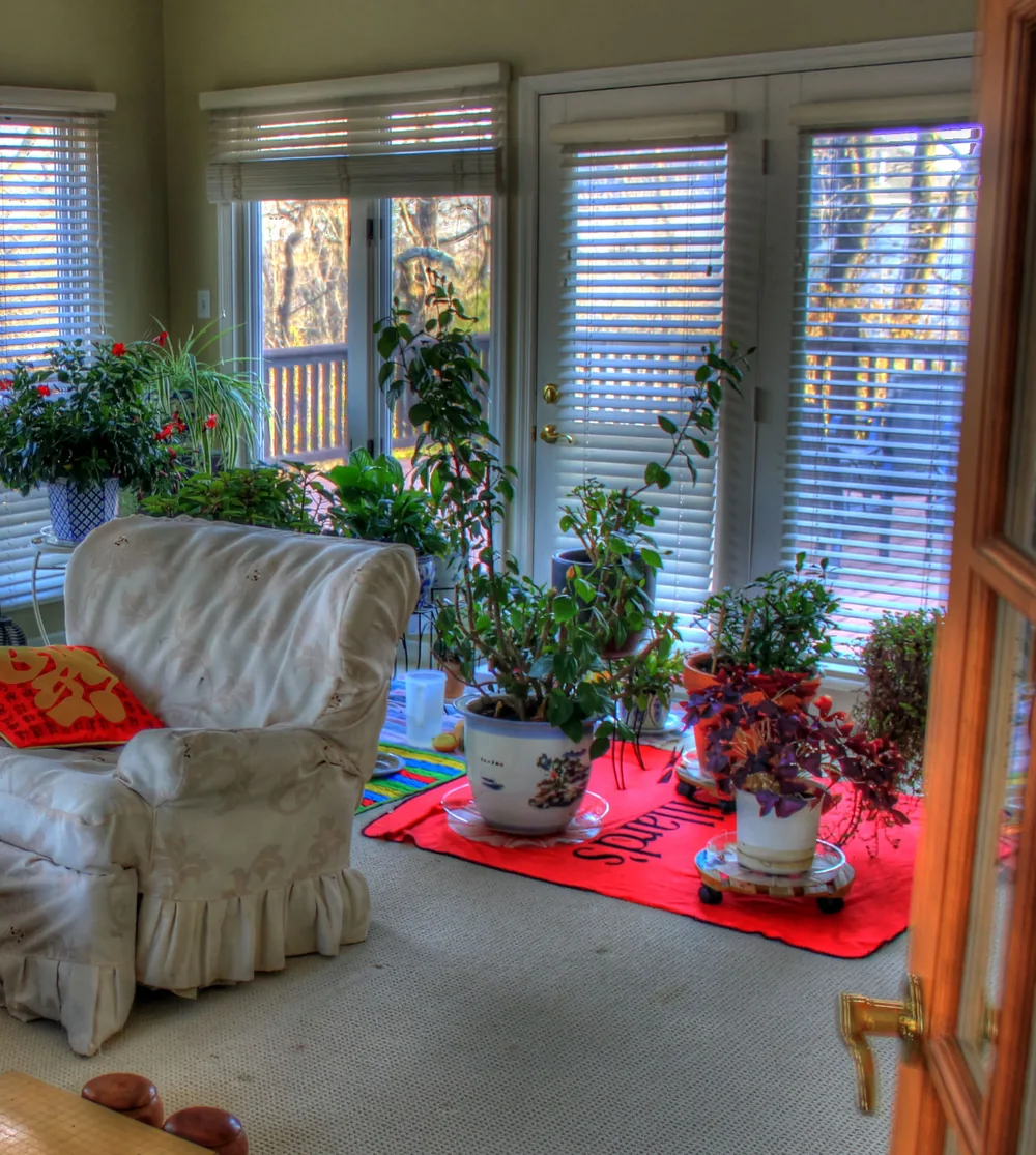 Sunroom windows and french doors opening to a deck