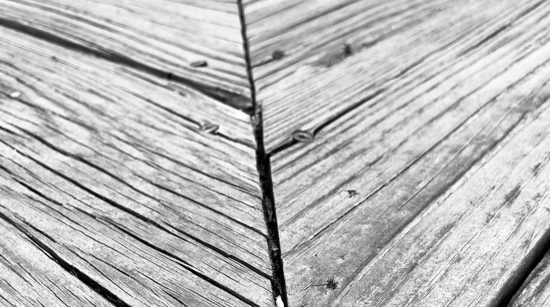 Cracked, weathered deck boards in close-up